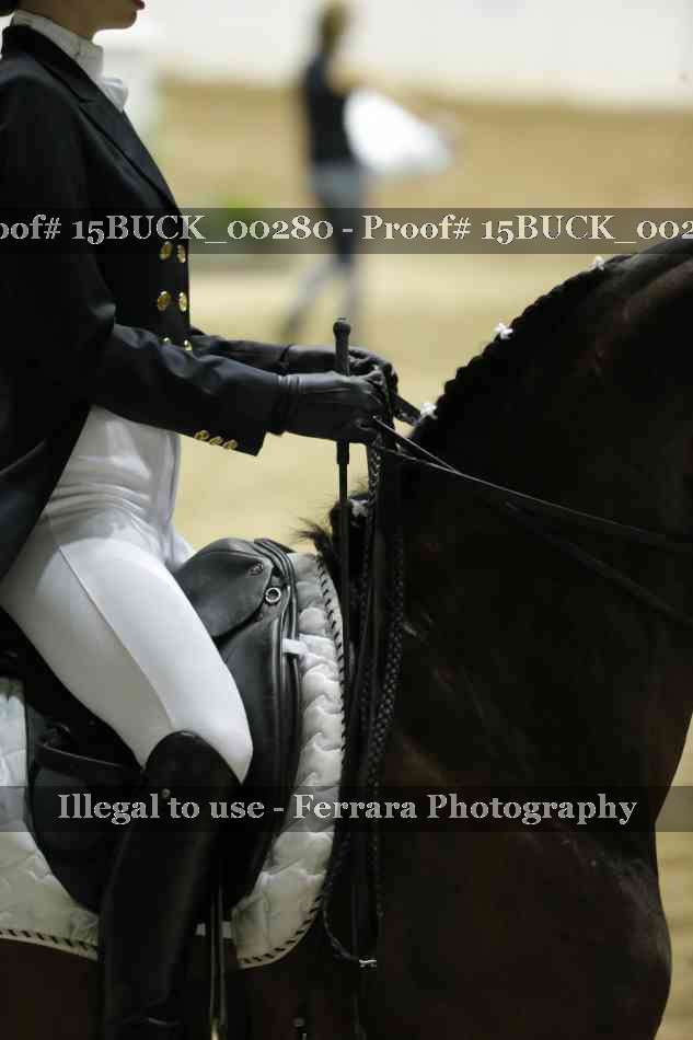 Proof 15BUCK_00280