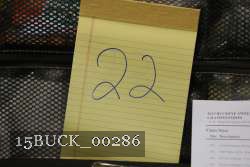 15BUCK_00286 proof
