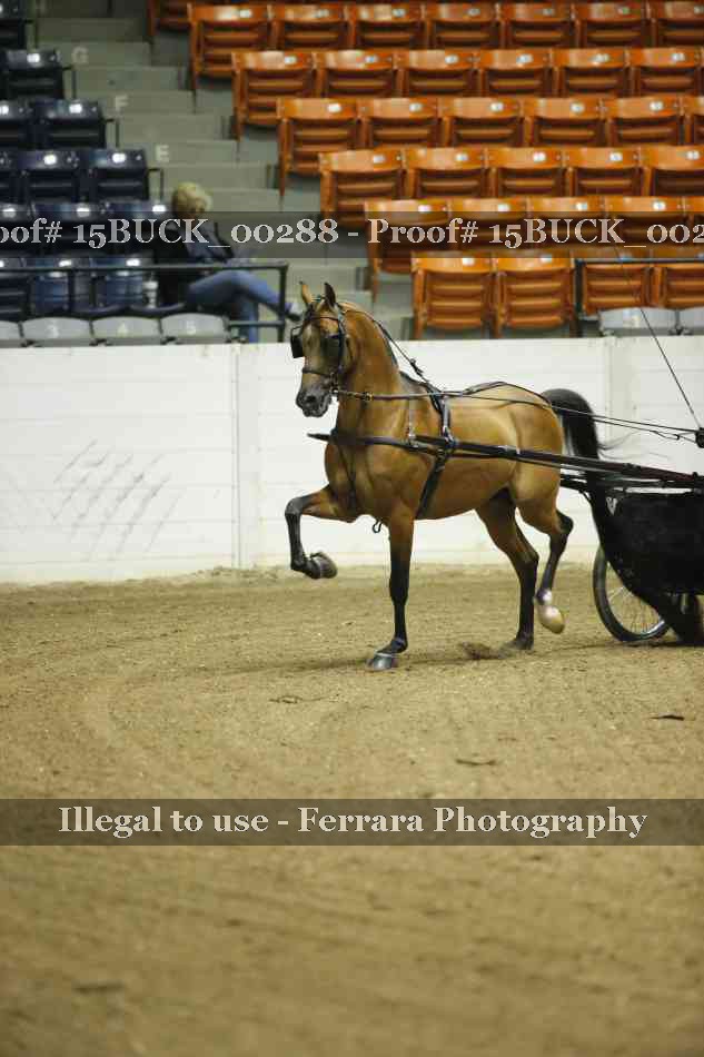 Proof 15BUCK_00288