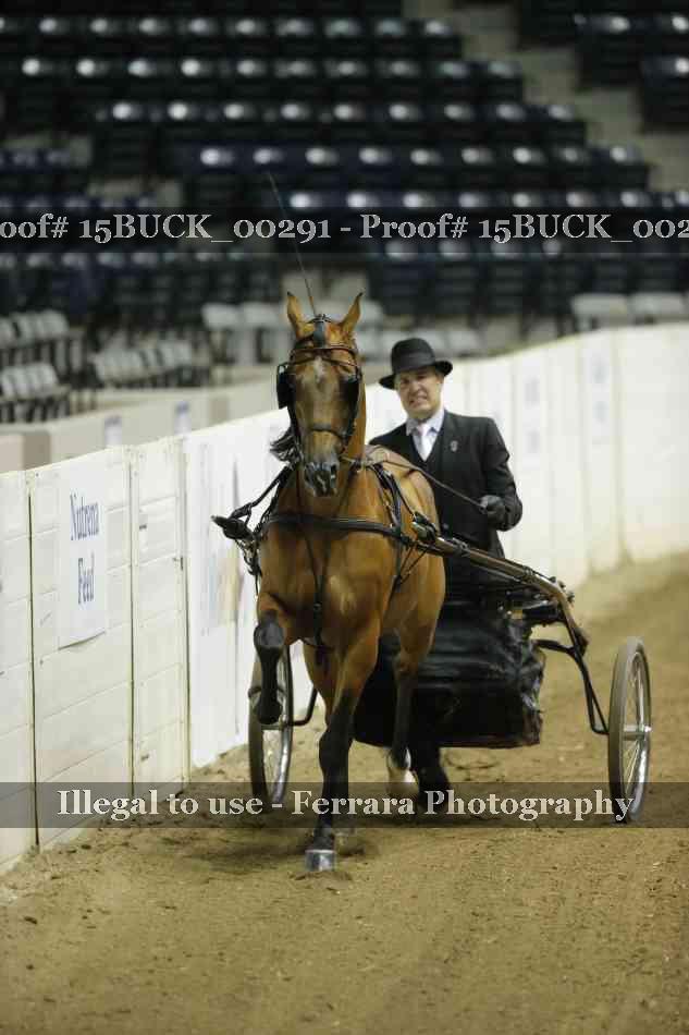 Proof 15BUCK_00291