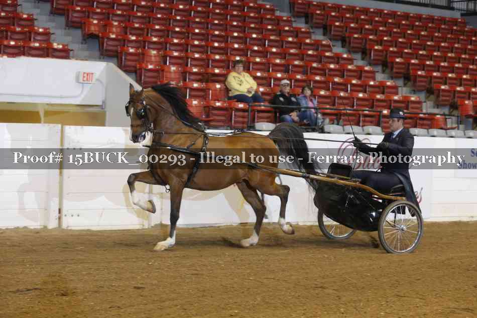Proof 15BUCK_00293