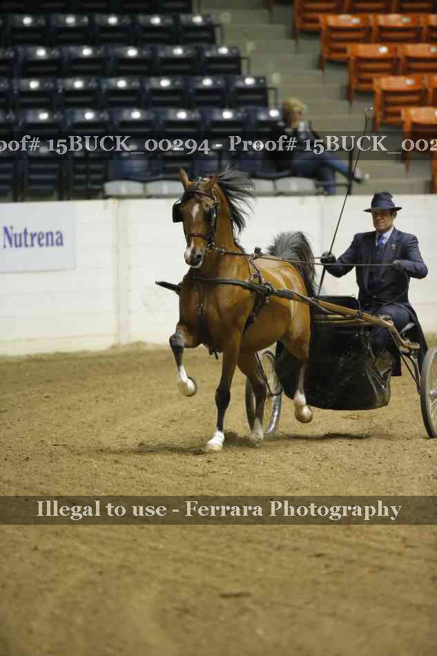 Proof 15BUCK_00294