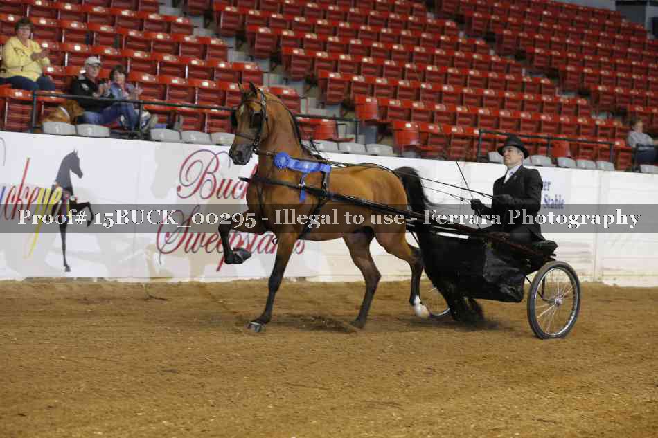Proof 15BUCK_00295