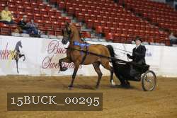 15BUCK_00295 proof