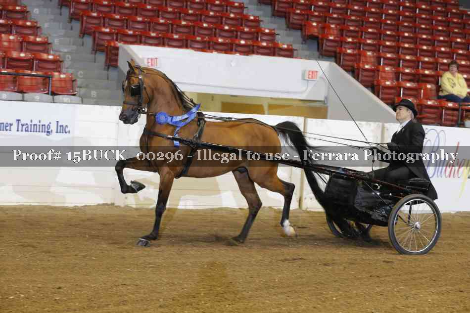 Proof 15BUCK_00296