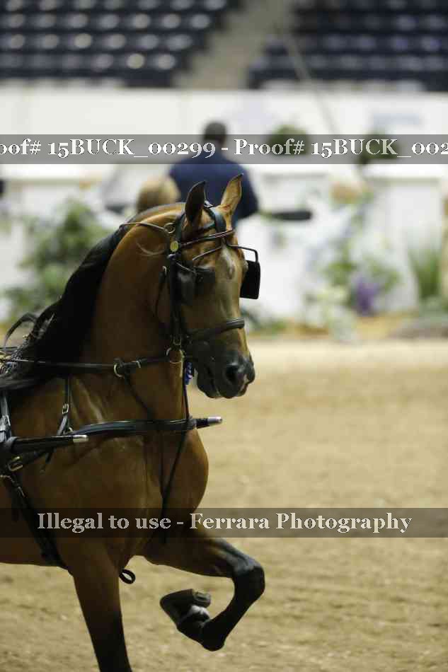 Proof 15BUCK_00299