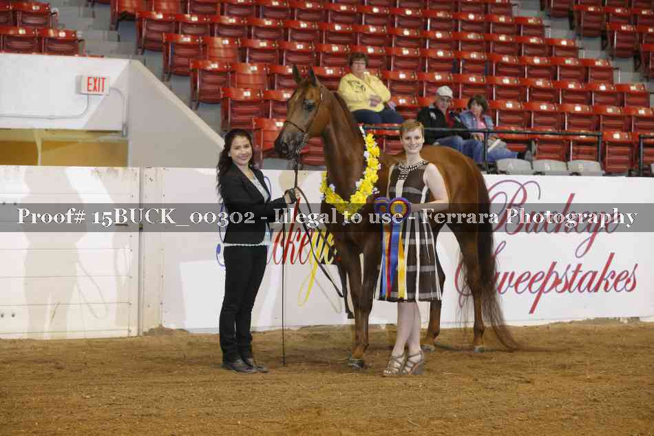 Proof 15BUCK_00302