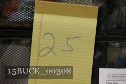 15BUCK_00308 proof