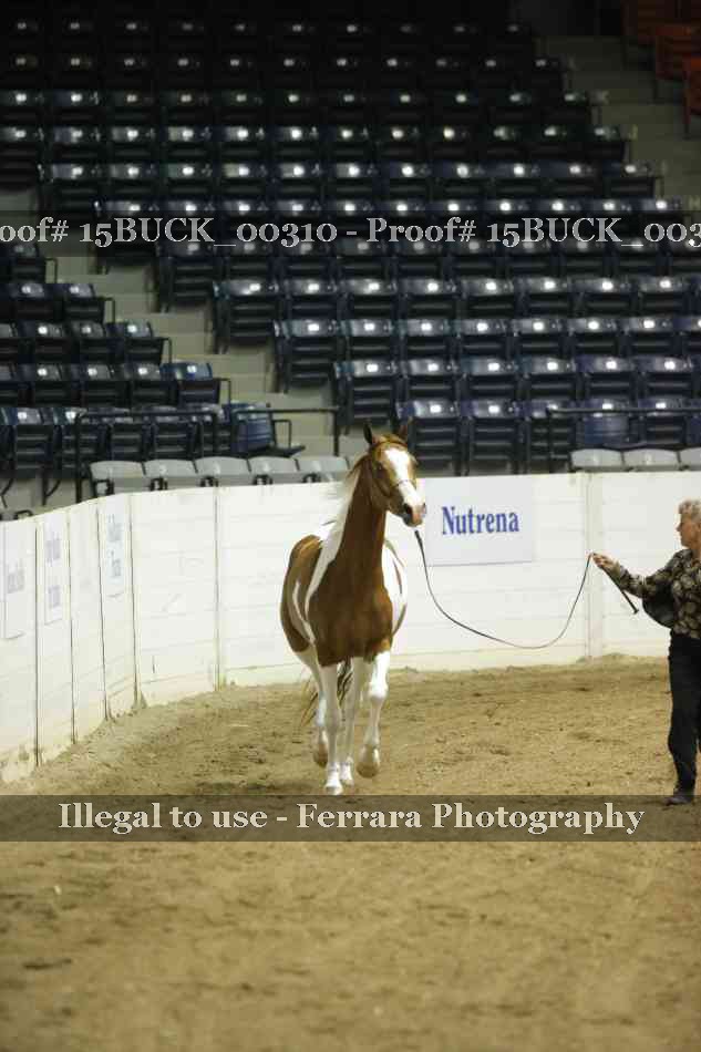 Proof 15BUCK_00310