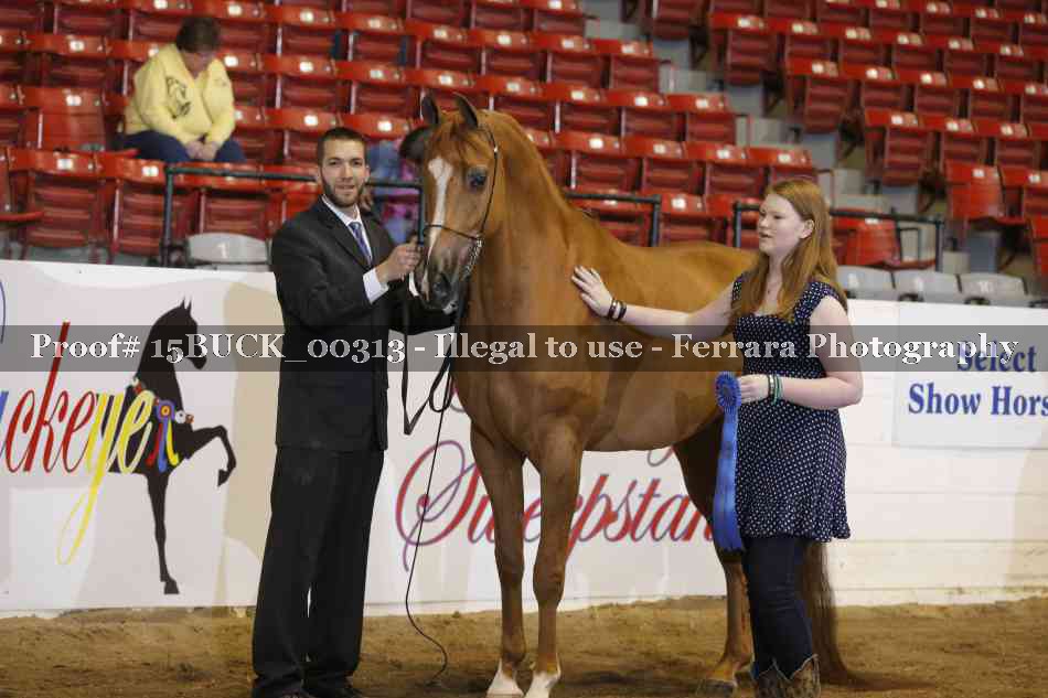 Proof 15BUCK_00313