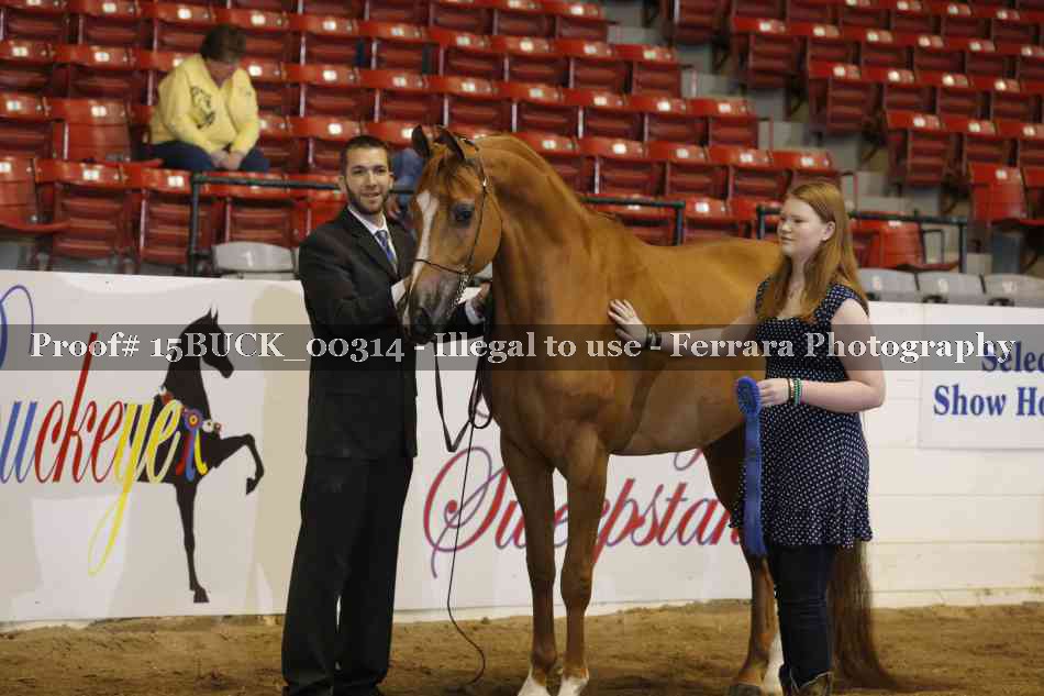 Proof 15BUCK_00314