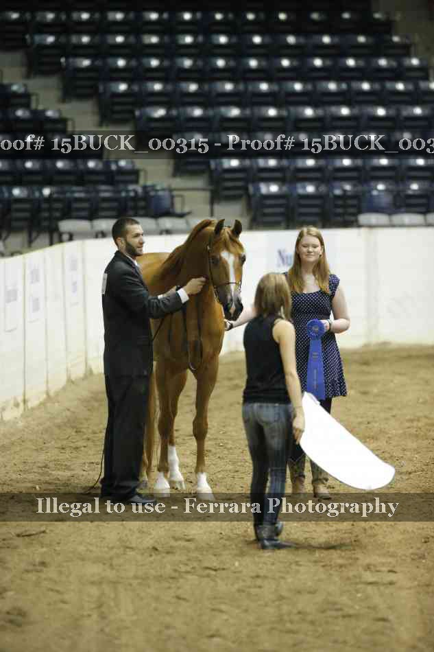 Proof 15BUCK_00315