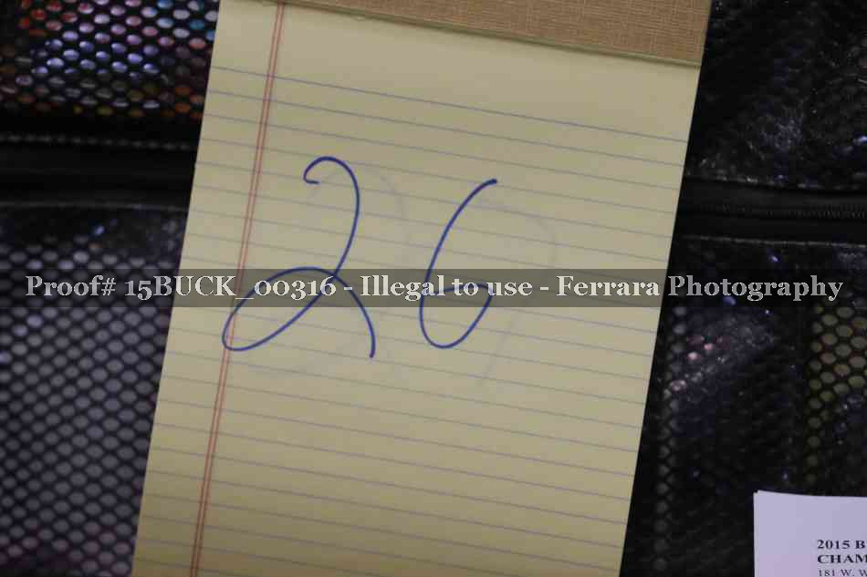 Proof 15BUCK_00316