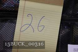 15BUCK_00316 proof