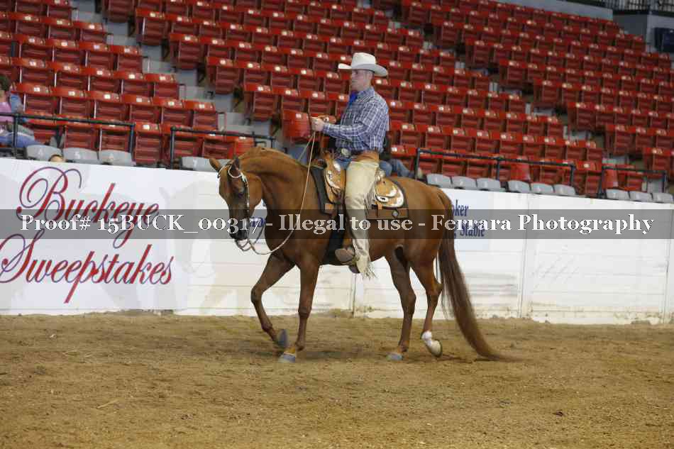Proof 15BUCK_00317