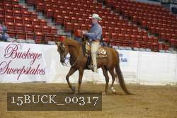 15BUCK_00317 proof