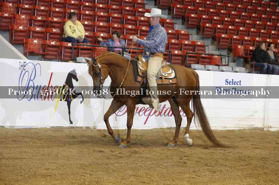Proof 15BUCK_00318