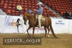 15BUCK_00318 proof