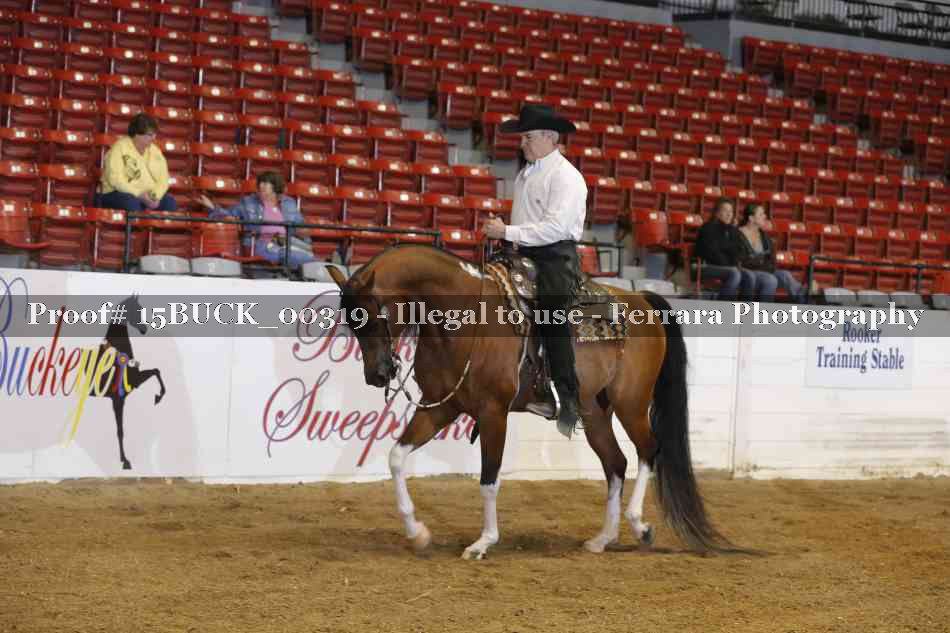 Proof 15BUCK_00319