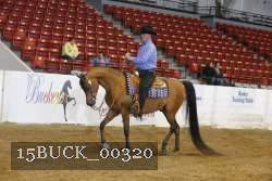 15BUCK_00320 proof