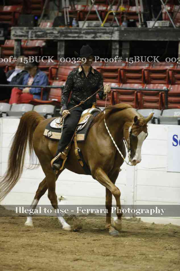 Proof 15BUCK_00329