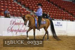 15BUCK_00332 proof