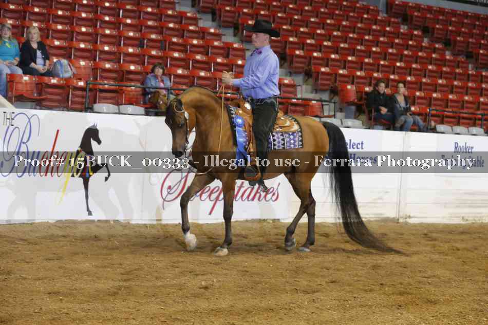 Proof 15BUCK_00333