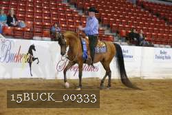 15BUCK_00333 proof