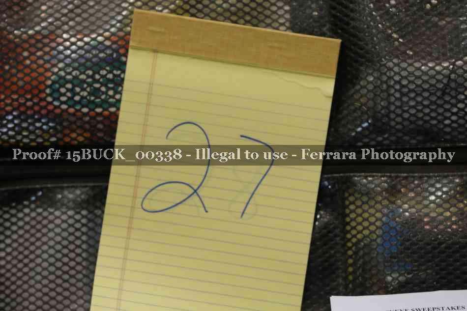 Proof 15BUCK_00338