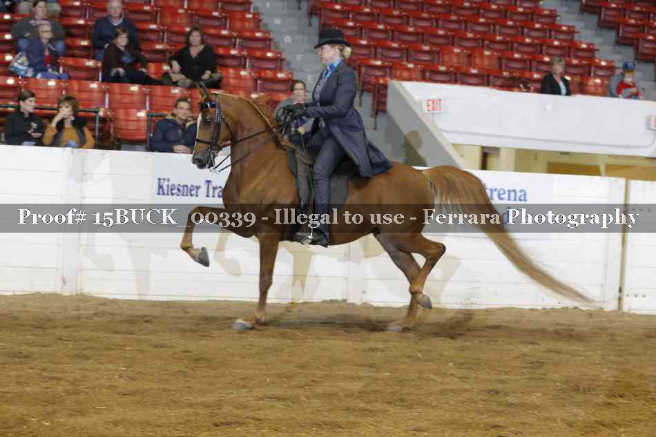 Proof 15BUCK_00339