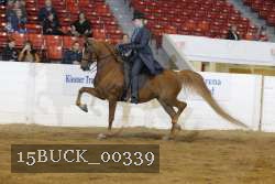 15BUCK_00339 proof