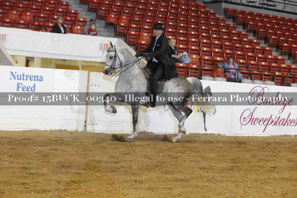 Proof 15BUCK_00340