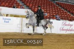 15BUCK_00340 proof