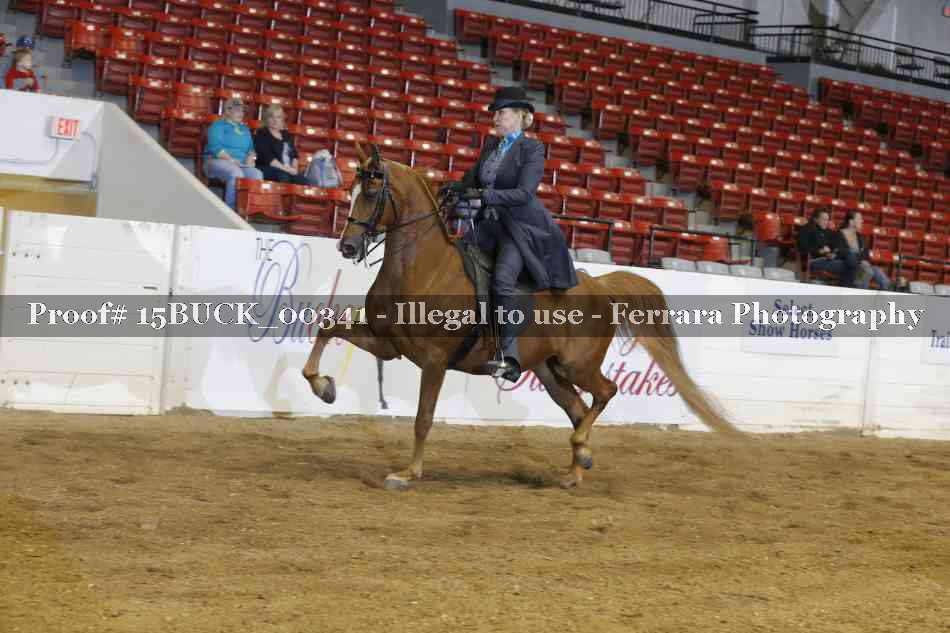 Proof 15BUCK_00341