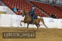 15BUCK_00341 proof