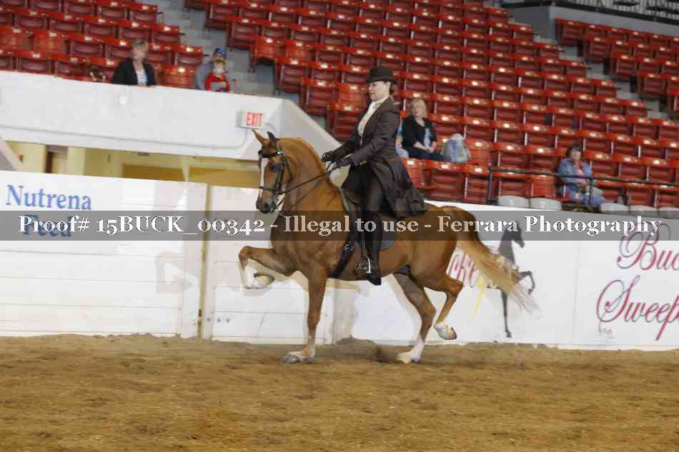 Proof 15BUCK_00342