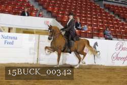15BUCK_00342 proof