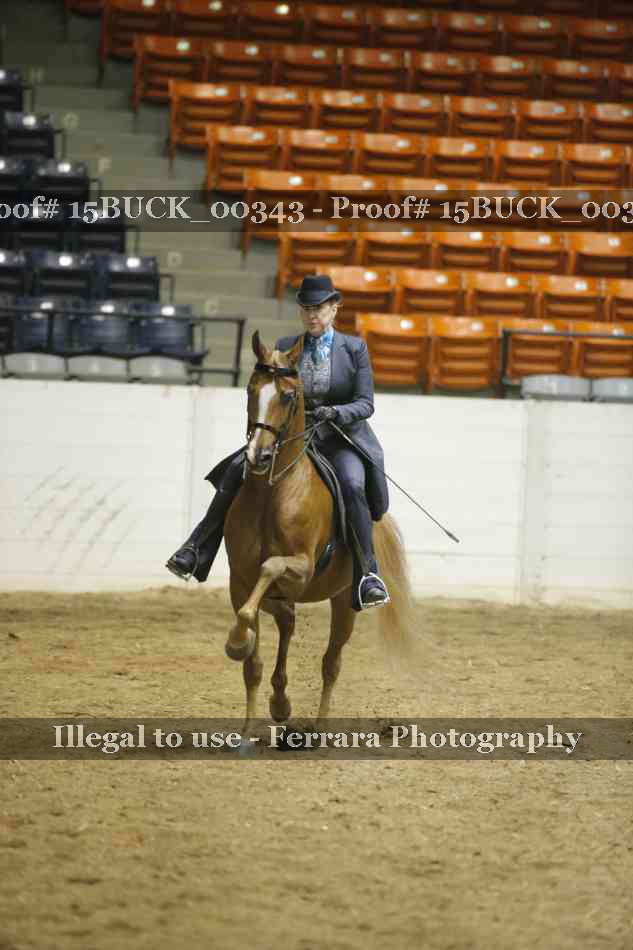Proof 15BUCK_00343