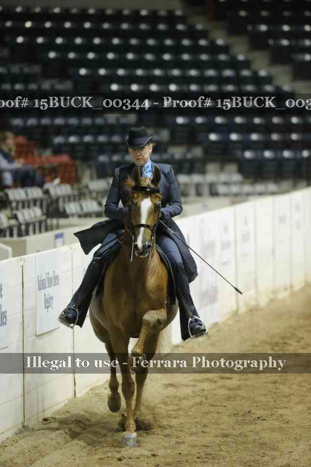 Proof 15BUCK_00344