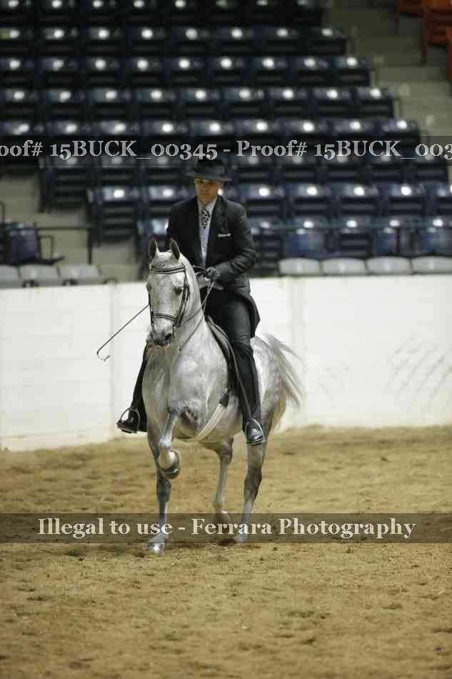 Proof 15BUCK_00345
