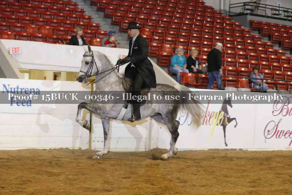 Proof 15BUCK_00346