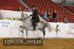 15BUCK_00346 proof