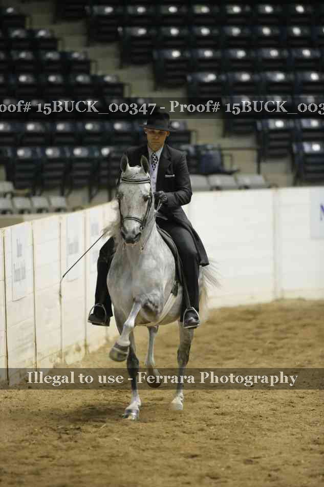 Proof 15BUCK_00347