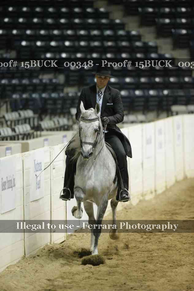 Proof 15BUCK_00348