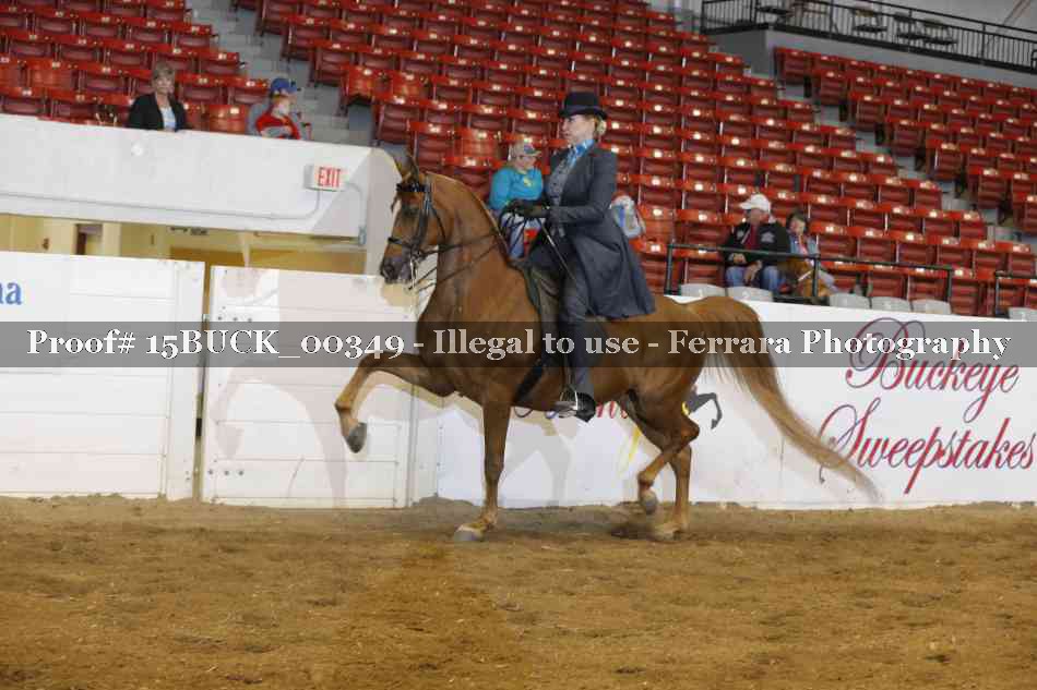 Proof 15BUCK_00349