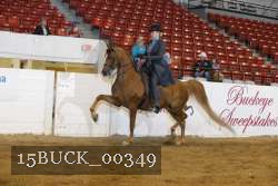 15BUCK_00349 proof