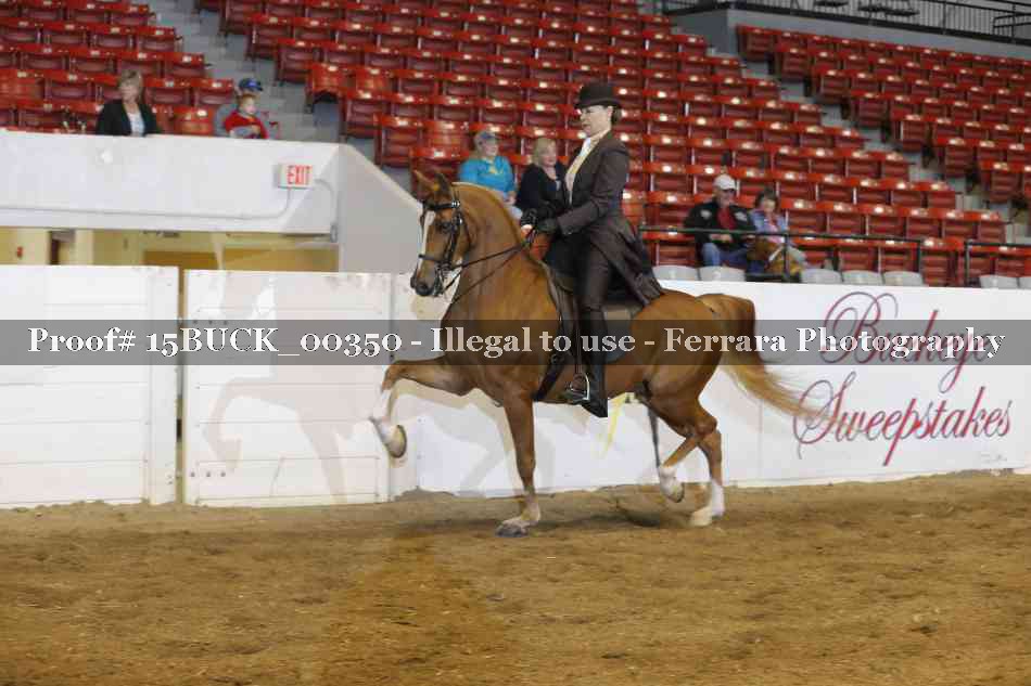 Proof 15BUCK_00350