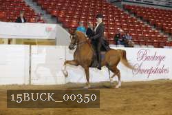 15BUCK_00350 proof
