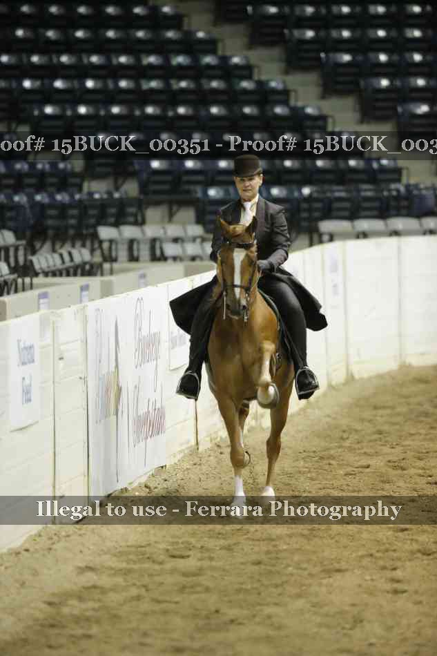 Proof 15BUCK_00351