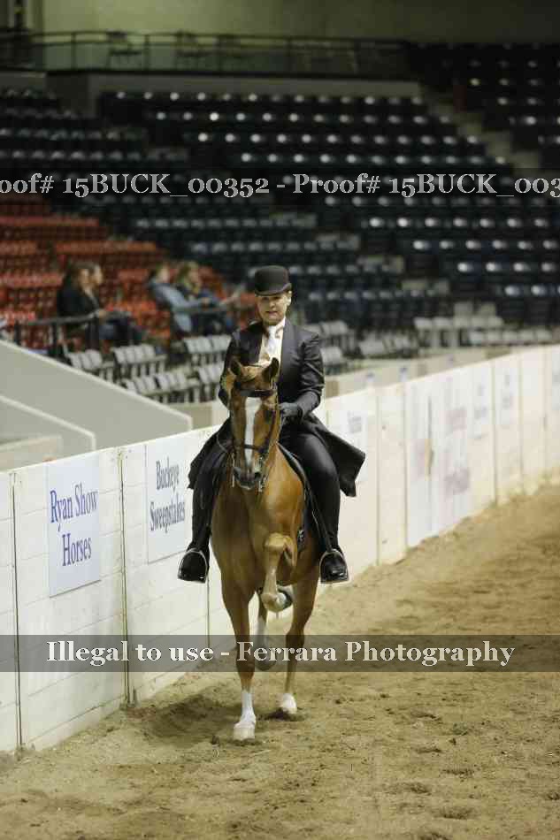 Proof 15BUCK_00352
